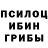 Псилоцибиновые грибы GOLDEN TEACHER Just Berk