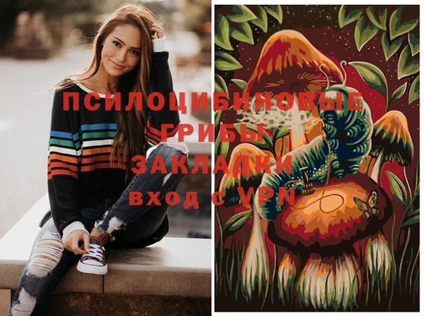 MDMA Дмитровск