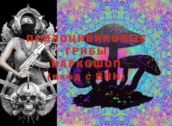 крисы Дмитров