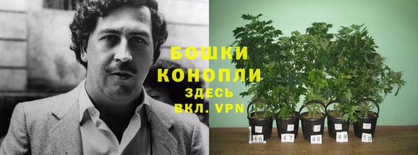 крисы Дмитров