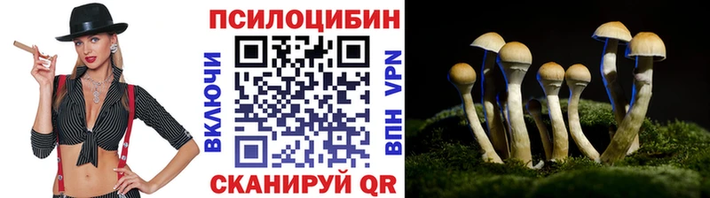 Купить  Урус-Мартан  Псилоцибиновые грибы мухоморы 