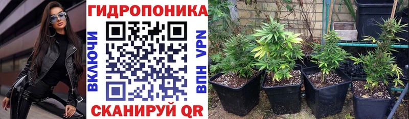 Бошки марихуана тримм  Купить где  Урус-Мартан 